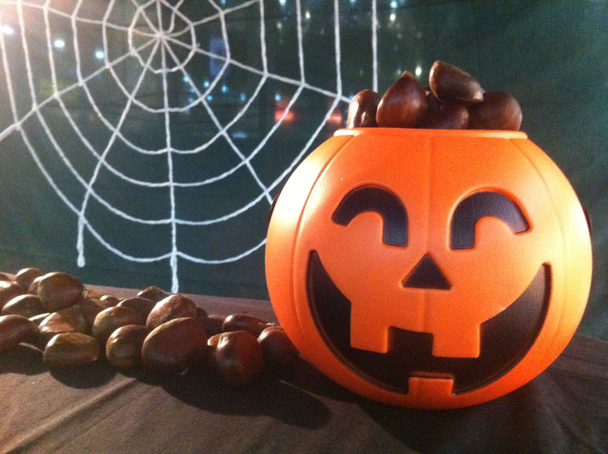 Fiesta de Halloween