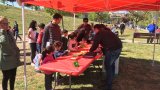 Taller el drac de Sant Jordi