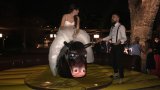 Toro mecánico para bodas