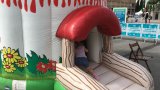 Inflable Bolet