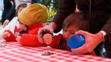 Actividad de cocina | Piruletas de chocolate