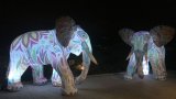 Elefants Inflables