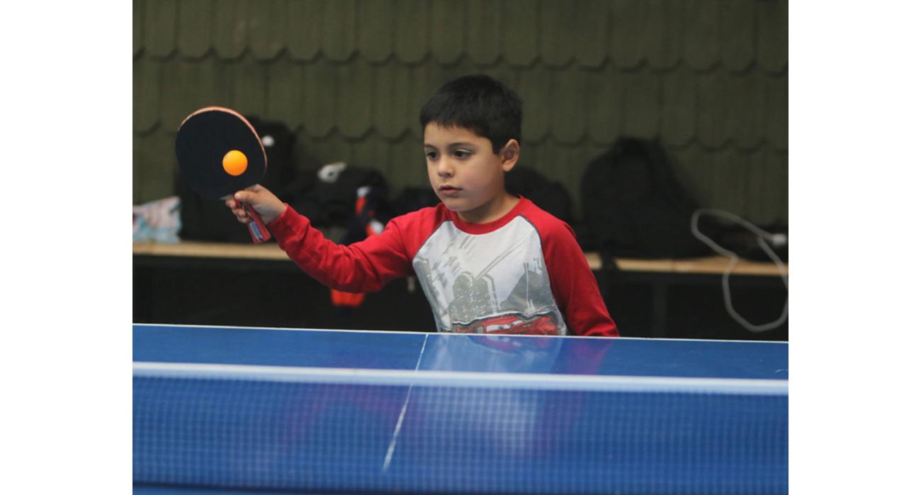 Taules de ping-pong