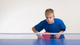 Taules de ping-pong