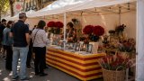 Roses gegants decoratives per esdeveniments